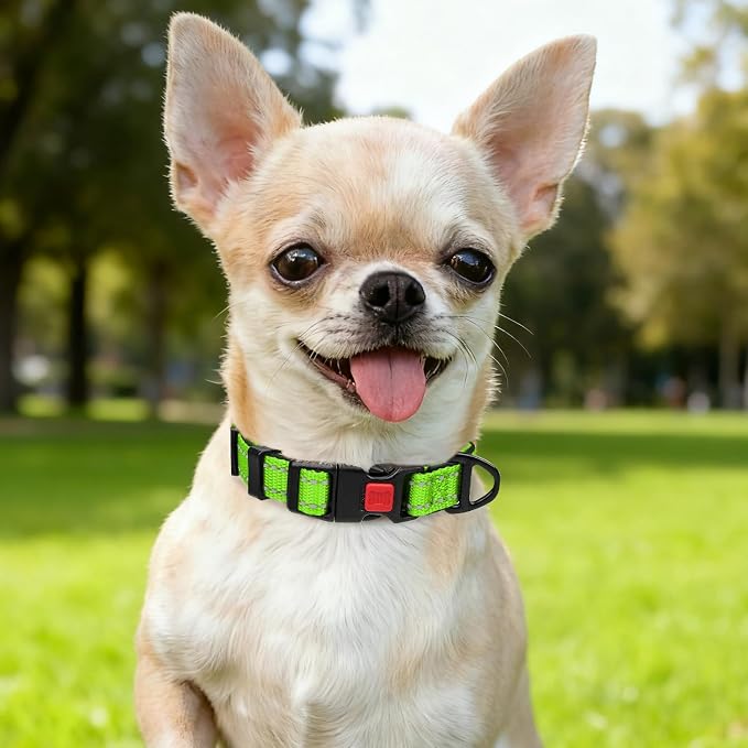 Taglory Reflective Dog Collar for Puppies, Gentle and Safe for Night Walks | Night-Walk Visibility, Soft Neck Cushioning, Adjustable 8-12 in, Locking Buckle, D-Ring for Leash and ID Tags - Image 2