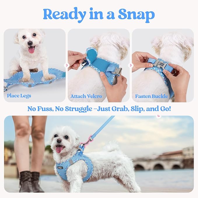 rabbitgoo Dog Harness Small Sized and Leash Set, Step-in Puppy Pet Vest | Light, Soft, Breathable Air Mesh, Easy on and Remove with Hook & Loop, Secure Reflective for Walking, Blue & Plaid Trim XXS - Image 8
