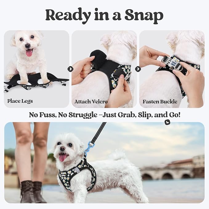 rabbitgoo Dog Harness Small Sized and Leash Set, Step-in Puppy Pet Vest | Light, Soft, Breathable Air Mesh, Easy on and Remove with Hook & Loop, Secure Reflective for Walking, Midnight Daisy S - Image 5