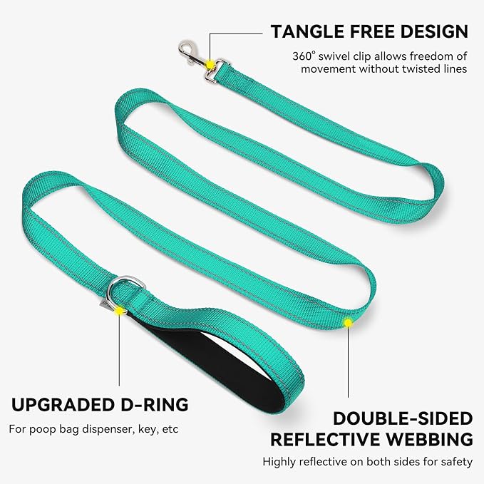Joytale Reflective Dog Leash for Medium & Large Dogs, 5 FT x 1", Turquoise | Heavy Duty Nylon Webbing, Padded Handle for Comfort, Visible at Night, for Walking & Training - Image 5