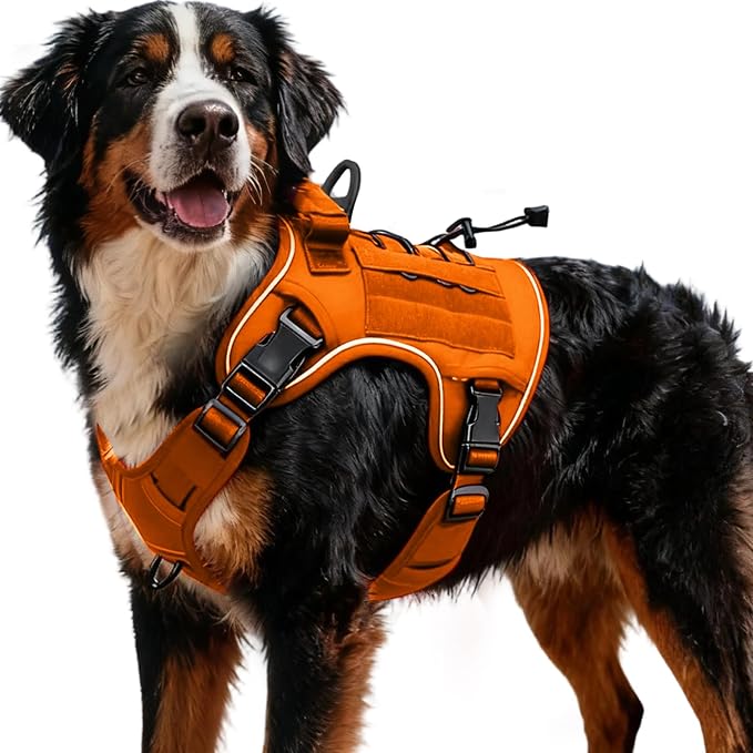 Heavy-Duty Tactical Dog Harness for Large Dogs, No Pull Adjustable Reflective Pet Vest with Molle System, K9 Military-Grade Control for Service Training, Outdoor & 10+ Breeds, Orange, XX-Large by Bruvoalon