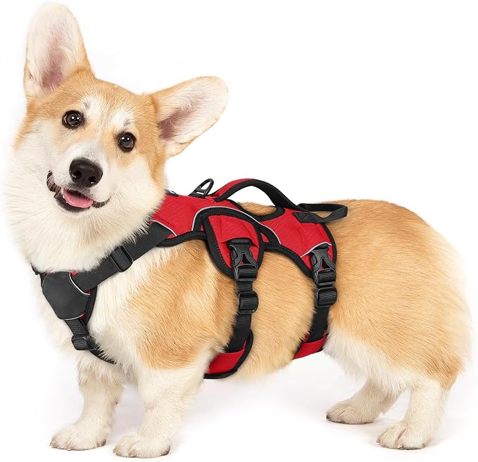 rabbitgoo Escape Proof Dog Harness for Small, No Pull with Lift Handle | No Escape, Full Soft Padded, Reflective Adjustable Vest, Leash Clip for Walking Hiking Training, Red, Small by rabbitgoo