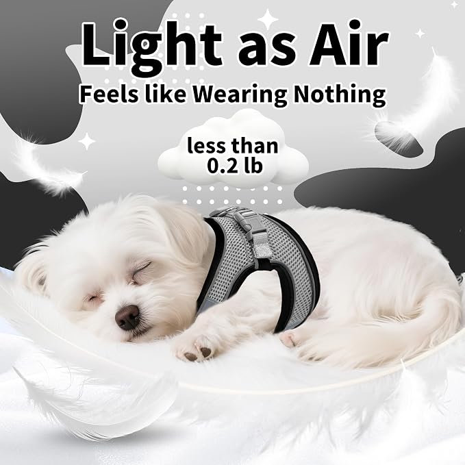 AIITLE Medium Dog Harness and Leash Set, Step-in Puppy Pet Vest, Black M | Breathable Mesh, Adjustable Fit, Reflective Design, Padded Leash Handle, for Small-Medium Dogs & Cats, Walking, Training - Image 5