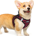 rabbitgoo Step-in Small Dog Harness, Puppy Vest for Small Medium Sized Pet | Easy Put on and off, Lightweight, Soft, Breathable Quick-Dry Air Mesh for Comfortable Secure Walking, Red Check L by rabbitgoo