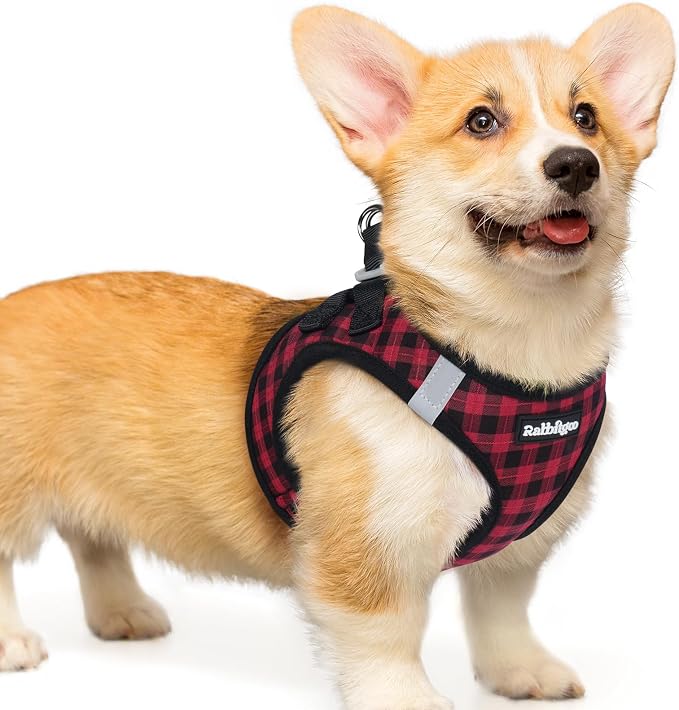 rabbitgoo Step-in Small Dog Harness, Puppy Vest for Small Medium Sized Pet | Easy Put on and off, Lightweight, Soft, Breathable Quick-Dry Air Mesh for Comfortable Secure Walking, Red Check L by rabbitgoo