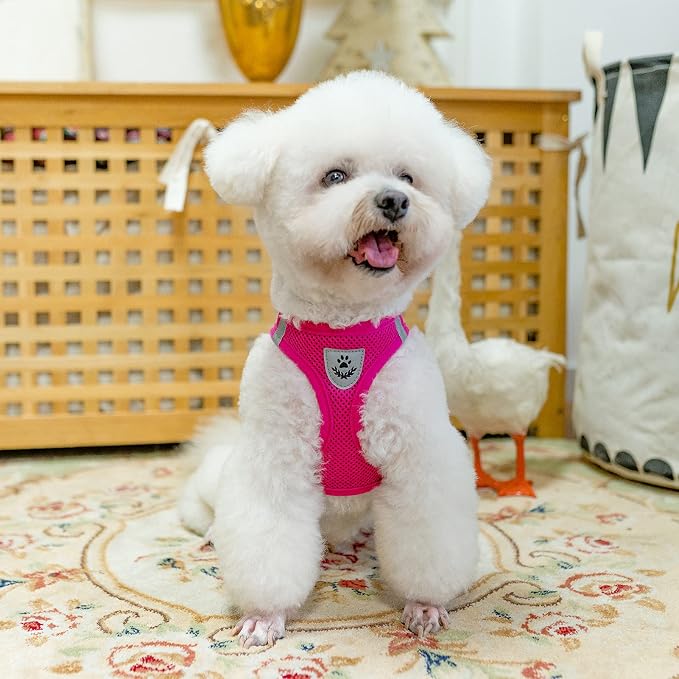 PUPTECK Dog Harness, Collar and Leash Set No Pull for Small Medium Sized | Soft Mesh Puppy Step-in Escape Proof Reflective No Choke Pet Cat Adjustable Walking Vest - Image 6