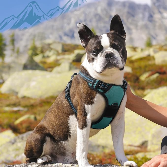 Eagloo Dog Harness for Medium Sized Dogs, No Pull Vest with 2 Leash Clips | No Choke with Handle, Adjustable Comfort Fit, Reflective Strips, Easy Walking Control, Dark Green, Medium - Image 9