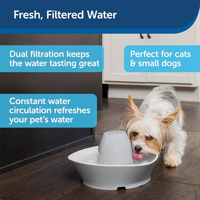 PetSafe Ceramic Pet Fountain – for Cats and Small Dogs 60 Oz Water Capacity Whisper-Quiet Flow – Great for Shy or Timid Pets Fresh, Filtered Water 1 Count (Pack of 4) - Image 4