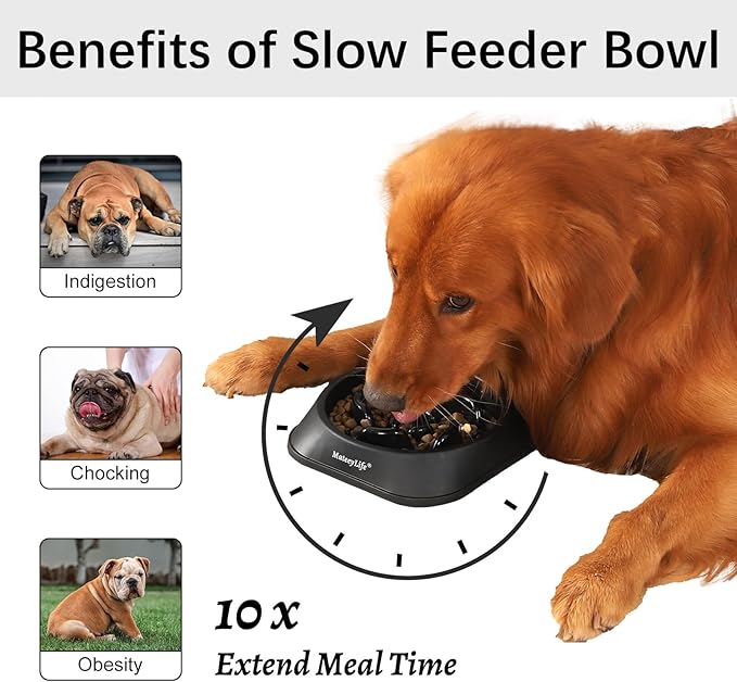 MateeyLife 1-Pack Slow Feeder Dog Bowls, 2 Cups, Dog Puzzle Feeder Bowl | Food-contact safe, dishwasher safe, non-slip base, maze design, for fast eaters, for dogs and cats, daily mealtimes - Image 2