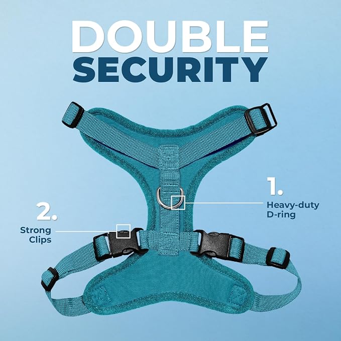 Voyager Step-in Lock Dog Harness - Turquoise, Medium | 17 - 21" in Chest, Adjustable, Breathable Air Mesh, Lightweight for Daily Walks, Strong Clips, Heavy Duty D-Ring - Image 2