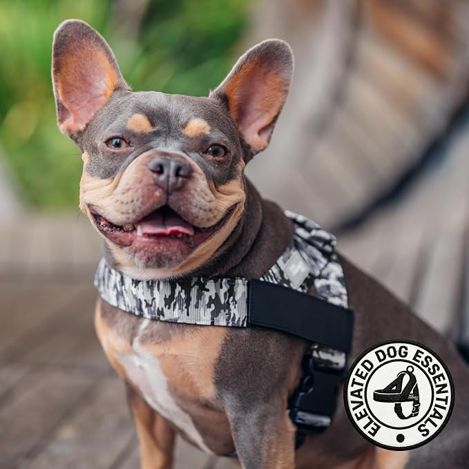 Dog Friendly Co. Dog Harness for Small Dogs (Grey Camo, Small) | One Click Buckle, Chafe Resistant Webbing, Adjustable Neck & Chest, and Heavy Duty D-Ring, Sturdy Comfortable and Easy to Use - Image 5