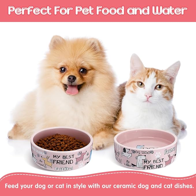 Maxcheck 2 Pcs 5 Inch Ceramic Dog Bowls Dishes for Small Dogs Cute Cartoon Pattern Puppy Cat Bowls Heavy Food Water Dishes for Pets Feeding Travel, Dishwasher Safe Microwave Safe(Pink) - Image 5