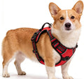 Red No-Pull Dog Harness with 2 Leash Clips，Soft Padded Vest for Small Dog, Adjustable Reflective Dog Vest Easy to Put on and Take Off,(Neck: 13"~17", Chest: 17"~21",Red Small) by Unknown