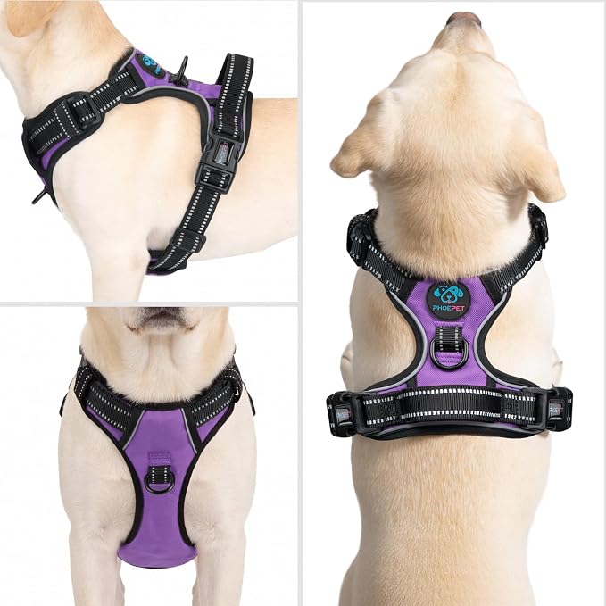 No Pull Dog Harness Medium Reflective Front Clip Puppy Vest | with Handle,Adjustable 2 Metal Leash Attachment Hooks(M, Purple) - Image 2
