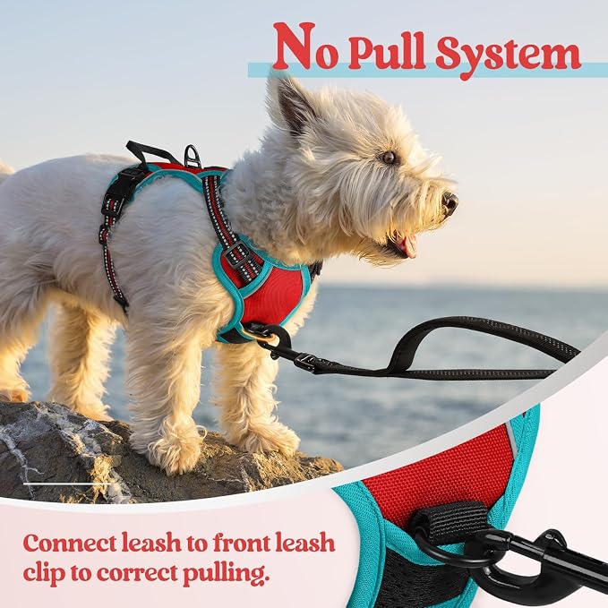 rabbitgoo Dog Harness, No Pull for Small Dogs with 2 Leash Clips, Pet Vest | No Choke with Handle, Adjustable Soft Padded, Reflective, Easy Control for Walking, Red & Teal, X-Small - Image 5