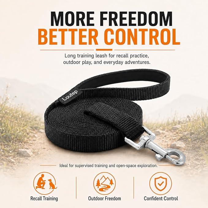 Long Line Dog Training Leash with Padded Handle, 100 ft, Black | Durable nylon webbing with reinforced stitching and 360° swivel clip for recall and obedience - Image 2