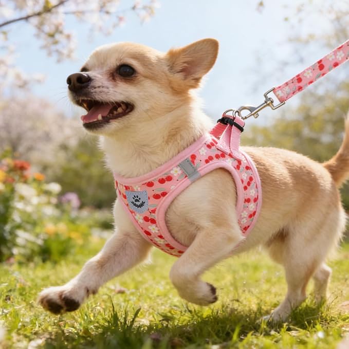 KOOLTAIL Dog Harness for Small Medium Dogs,Dog Harness and Leash Set, Step in No Pull Soft Mesh Padded Adjustable and Reflective Pet Vest Harness Puppy, Plaid Extra Harness for XS S Dogs,Pink Cherry,S - Image 2