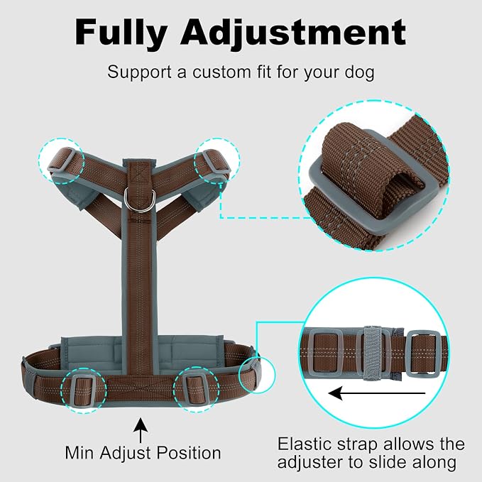 Plutus Pet No Pull Dog Harness, Adjustable Nylon Harness with Soft Padding | Reflective with Front Clip, Heavy Duty for Training and Walking, for Small Medium Large Dogs, Chocolate, S - Image 8