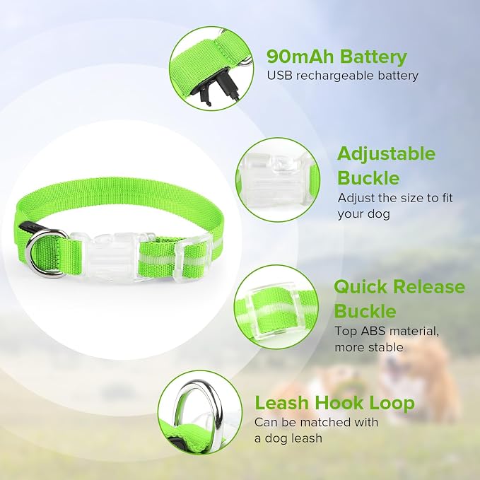 LED Dog Collar, Light Up Dog Collar USB-C Rechargeable Waterproof | 360° Visibility Light Up Dog Collar, Adjustable Nylon Collar with 3 Modes for Small Medium Large Dogs Night Walk Green L - Image 5