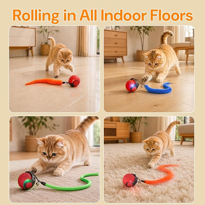 Interactive Cat Toys with Bird Sounds & 3 Speed Modes for Indoor Cats Play | Bird Sounds, 3 Speed Modes, Rechargeable Automatic Rolling, 3 Tails, Fast Charging Ball, For Indoor Cats on Hard Floor Carpet - Image 5