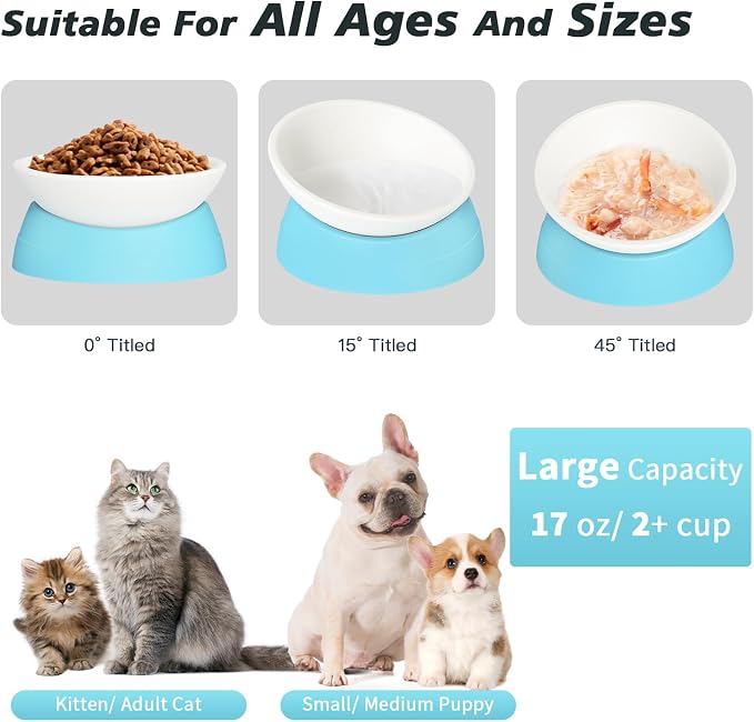 Elevated Cat Bowl, Adjustable Raised Slanted Food Bowl for Cats and Small Dogs, Wide Shallow PP Dish with TPR Non Slip Base, Whisker Friendly, 17 oz - Image 3