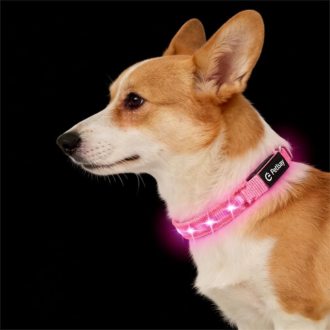 Super Bright LED Dog Collar, Waterproof Light up Collars(Pink, X-Small) | Lighted Dog Collar with Adjustable Fit, Soft Nylon Comfort, USB-C Rechargeable, Glow in the Dark Visibility for Night Walks by PetIsay