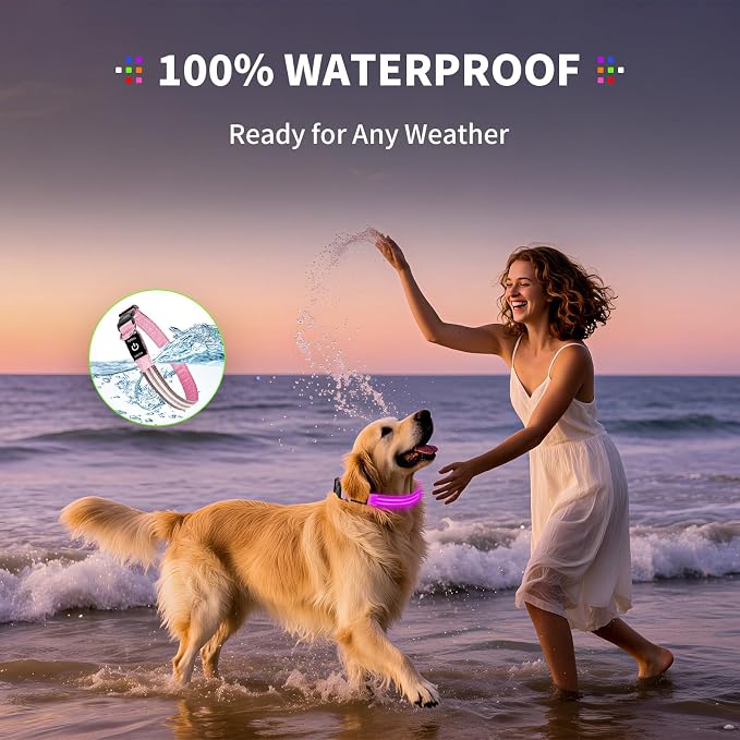 Light Up Dog Collar for Night Walking, Reflective LED Collar(Pink, Large) | Bright Safety Glow in the Dark, Adjustable Comfort Fit, Waterproof, Long Runtime, Easy USB-C Charging - Image 4