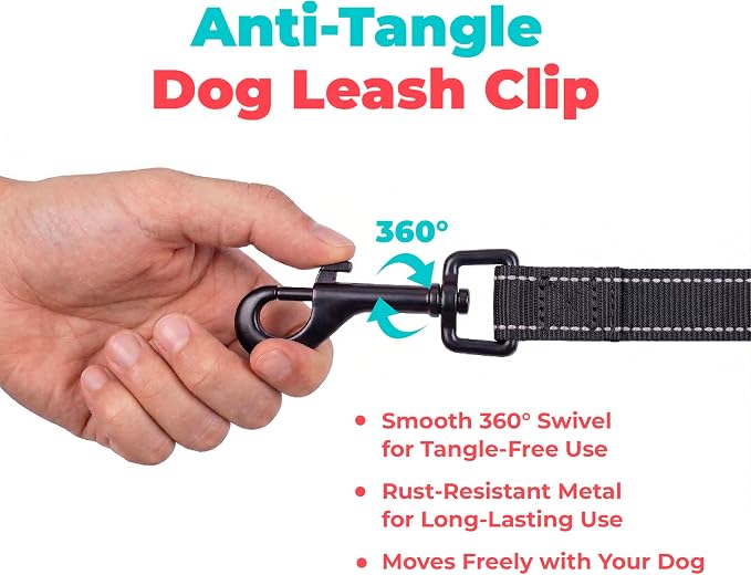 Best Pet Supplies Voyager Nylon Dog Leash - Black, Large | 5ft in Length, 1" in Width, Reflective, Soft Neoprene Handle, Heavy Duty Metal Clips for Running, Walking & Training - Image 7