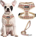 PUPTECK Small Dog Harness and Leash Set No Pull for XS XXS Sized Dogs Puppy | Escape Proof No Choke Pet Cat Adjustable Soft Padded Walking Vest by PUPTECK