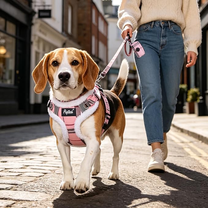 PUPTECK Dog Harness and Leash Set Medium Sized, Step in No Pull Adjustable Puppy Cat Harness Reflective Pet Vest - Image 6