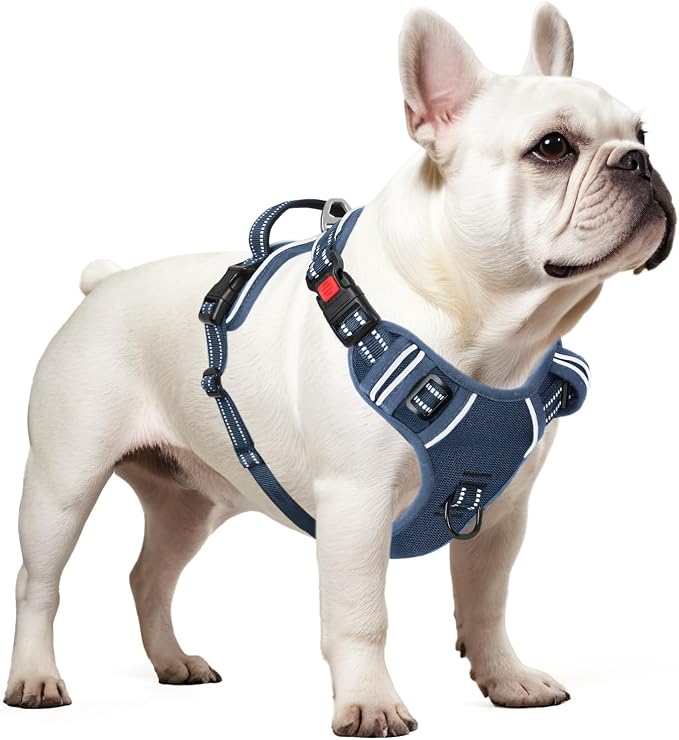 Timos Small Dog Harness, No Pull No Choke, Easy On & Off, Royal Blue, S | Adjustable Reflective Soft Padded, Neck Quick Release with 3 Buckles, Front & Back 2 Clips and Handle for Walking Training - Image 8