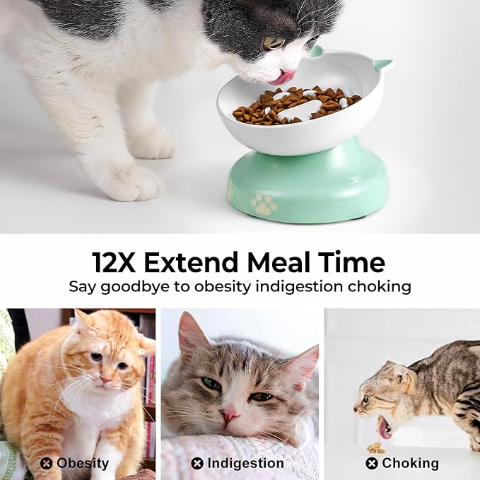 Y YHY Slow Feeder Cat Bowl, Ceramic Elevated Cat Bowl Tilted Design Slow Feeder for Dog and Cat for Dry and Wet Food, Green - Image 5