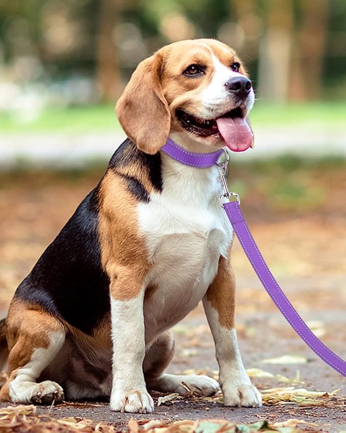 Taglory Reflective Dog Leash for Medium Large Dogs, 1in x 6ft, Purple | Ideal for Night Walking, Strong for Sudden Pulls, Lightweight & Gentle on the Neck, Soft Padded Handle - Image 6