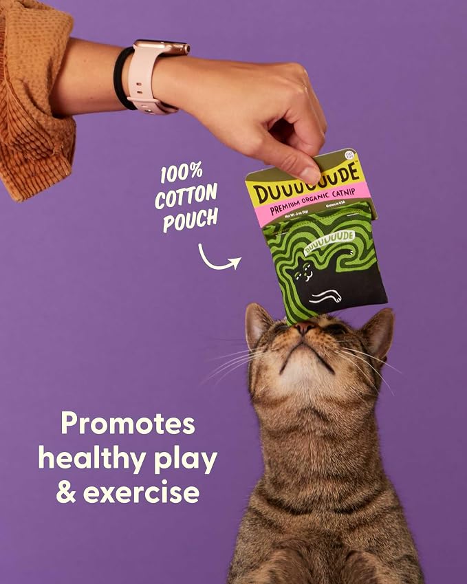 Blue Q Catnip - Cute Cat Toys for Biting w/Funny Graphics - Duuuuuuuude | Catnip Toys featuring funny designs, Strong US-grown catnip, Durable cotton material, Cat birthday gifts for pet lovers - Image 5
