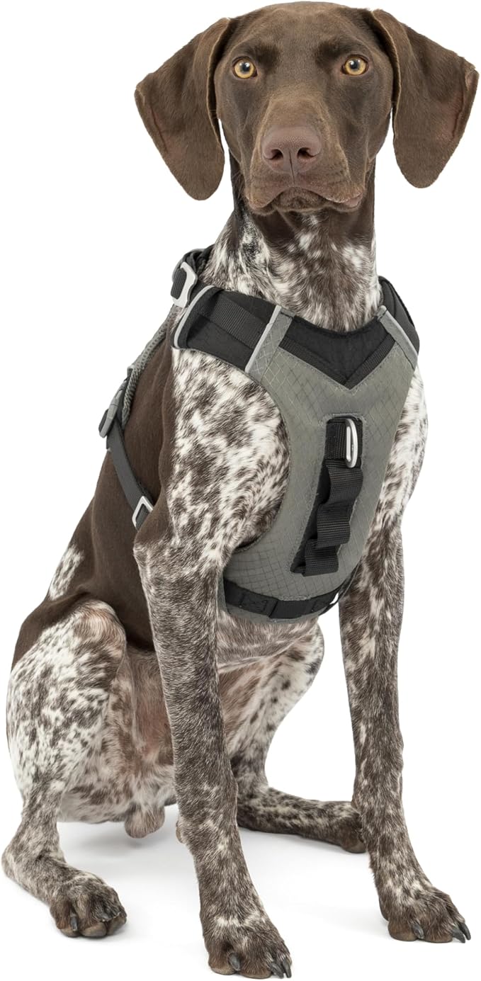 Kurgo Journey Air Dog Harness, Black, Medium | Padded Chest, Ripstop Outer & Breathable Mesh, Back Assist Handle, Rust-Free Aluminum Hardware, Reflective Trim - Image 3