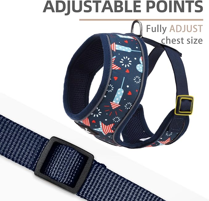 PUPTECK Small Dog Harness and Leash Set No Pull for XS XXS Sized Dogs Puppy | Escape Proof No Choke Pet Cat Adjustable Soft Padded Walking Vest - Image 3