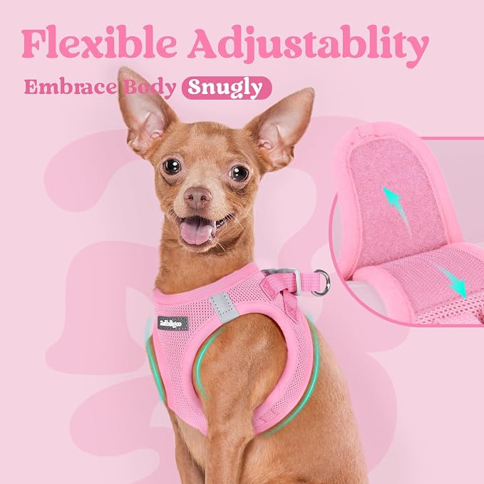 rabbitgoo Step-in Small Dog Harness, Puppy Vest for Medium Sized Pet | Easy Put on and off, Lightweight, Soft, Breathable Quick-Dry Air Mesh for Comfortable Secure Walking, Light Pink XXL - Image 8