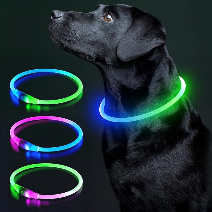 Colaseeme Light Up Dog Collar, USB Rechargeable Glow Necklace, Green+Blue | Waterproof IP67, Cut-to-Fit TPU, 360° Night Safety, Pet Visibility Light, Camping & Walking, Fits Small-Large Dogs by Colaseeme