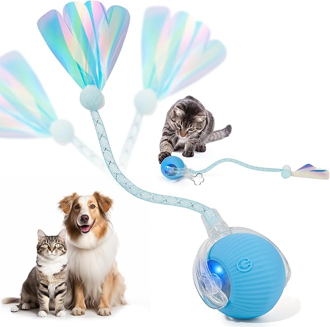 Interactive Cat Toys for Indoor Cats & Dogs, Agile Moving Cat Ball with Elastic Mesh Tail, Rechargeable Enrichment Toys, Smart Automatic Rolling Pet Ball Toys for Bored Indoor Dogs & Cats (Blue) by SUPVOL