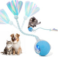Interactive Cat Toys for Indoor Cats & Dogs, Agile Moving Cat Ball with Elastic Mesh Tail, Rechargeable Enrichment Toys, Smart Automatic Rolling Pet Ball Toys for Bored Indoor Dogs & Cats (Blue) by SUPVOL