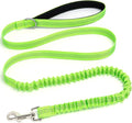 5FT Bungee Dog Leash Shock Absorbing Lightweight Small Medium Dogs | Reflective Nylon Lead 2cm Wide- Soft Handle- Anti-Pull Training- 6 Colors by Mycicy