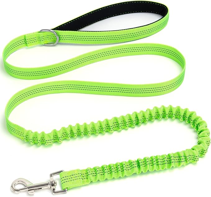 5FT Bungee Dog Leash Shock Absorbing Lightweight Small Medium Dogs | Reflective Nylon Lead 2cm Wide- Soft Handle- Anti-Pull Training- 6 Colors by Mycicy