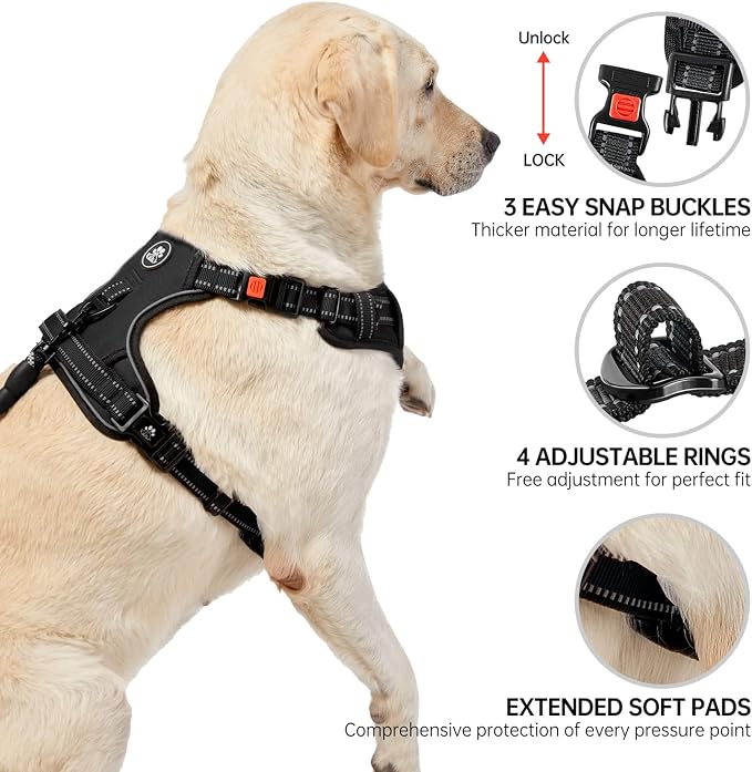 NESTROAD No Pull Dog Harness,Adjustable Oxford Dog Vest Harness with Leash,Reflective No-Choke Pet Harness with Easy Control Soft Handle for Small Medium Dogs(Medium,Black) - Image 4