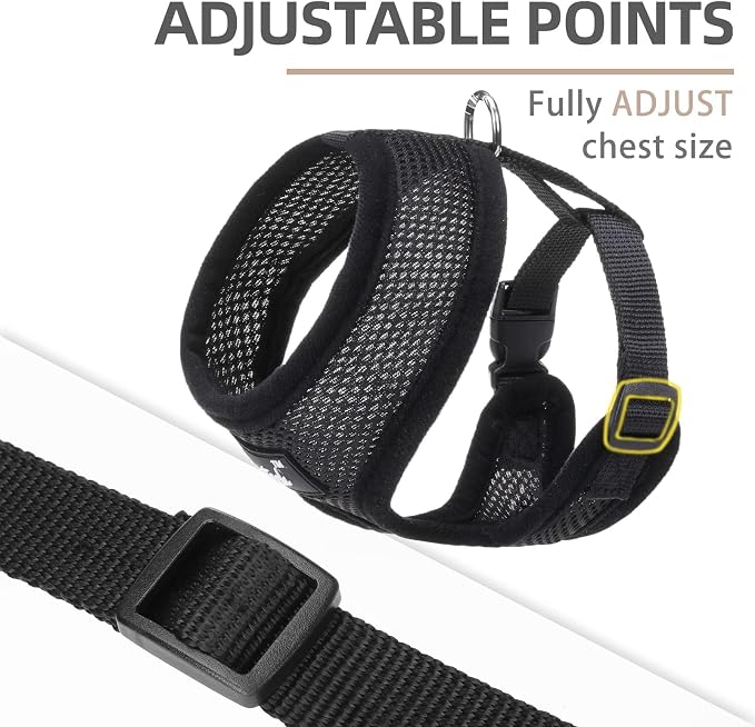 PUPTECK Small Dog Harness and Leash Set No Pull for XS XXS Sized Dogs Puppy | Escape Proof No Choke Pet Cat Adjustable Soft Padded Walking Vest - Image 3