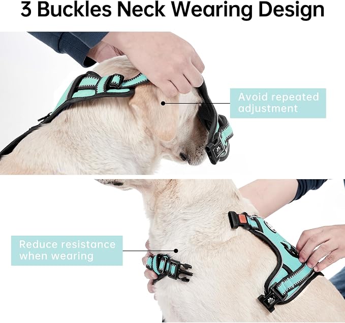IVY&LANE No Pull Dog Harness with Leash Set, Reflective No Choke Pet Vest,Adjustable Oxford Dog Vest Harness with Easy Control Handle for Large Dogs (Turquoise,L) - Image 4