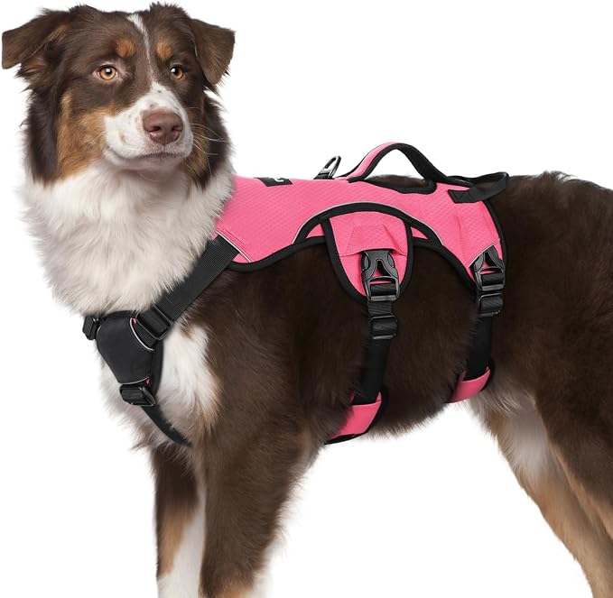 rabbitgoo Escape Proof Dog Harness for Medium, No Pull with Lift Handle | No Escape, Full Soft Padded, Reflective Adjustable Vest, Leash Clip for Walking Hiking Training, Peach Pink, Medium by rabbitgoo