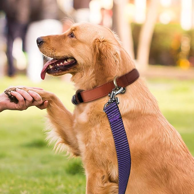 Hi Kiss Dog/Puppy Obedience Recall Training Agility Lead - 15ft 20ft 30ft 50ft 100ft Training Leash - Great for Training, Play, Camping, or Backyard(50ft,Black_Purple) - Image 6