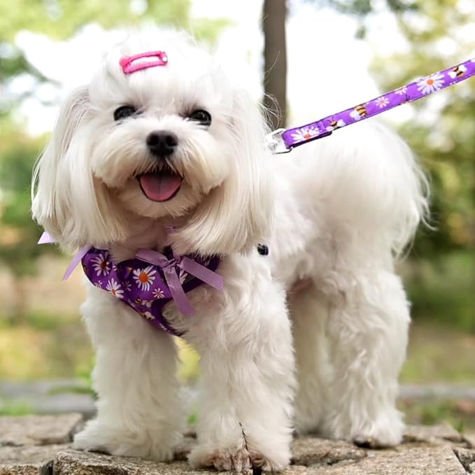 PUPTECK Dog Harness and Leash Set Small Sized, Step in No Pull Adjustable Puppy Cat Harness Reflective Pet Vest - Image 5