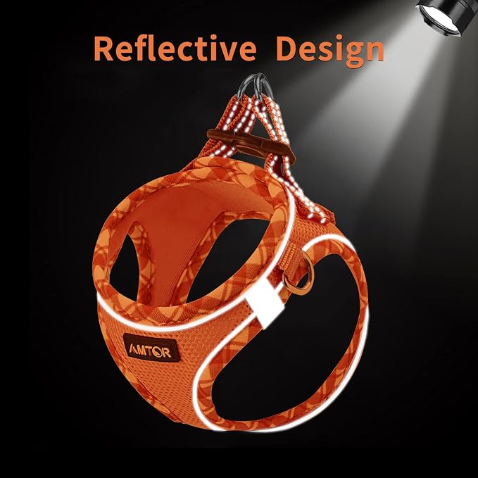 AMTOR Small Dog Harness with Leash Set, No Escape Easy Walk Puppy Harnesses for Training Walking, Step-in Reflective Soft Dogs Vest for XS S Medium Extra-Small Large Sized Dog(Orange/White,XS) - Image 3