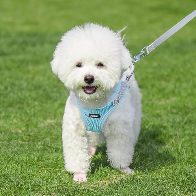 AIITLE Medium Dog Harness and Leash Set, Step-in Puppy Pet Vest, Blue L | Light, Soft, Breathable Air Mesh, Escape-Proof, Easy on and Remove with Hook & Loop, Secure Reflective for Walking - Image 2